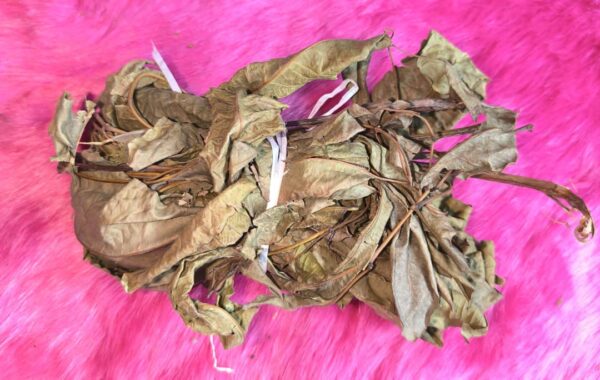 WhatsApp Image 2025-11-26 à 20.11.45_e05d69ae ZADJAI